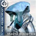 Manta Birostris